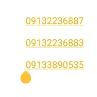 09132236883