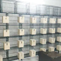 لاوبرد قناری برزیلی قفس ملنگو طوطی|پرنده|مشهد, فاطمیه|دیوار