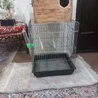 قفس