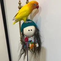 کوتوله برزیلی گمشده ایذه خیابان مدرس|حیوانات|ایذه, |دیوار