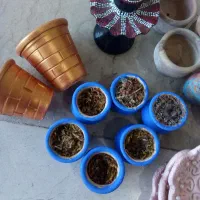 سفال|حراج|دماوند, گیلاوند|دیوار