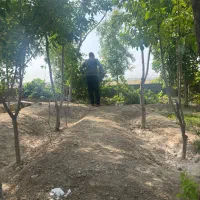 فروش انواع قطعات باغی و سوله