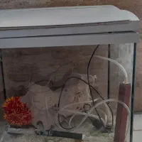 اکواریوم کوچک