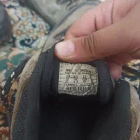 کفش کوهنوردی|کیف، کفش، کمربند|شیراز, تندگویان|دیوار