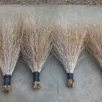 جاروطبیعی(جارو سفیدکوهستان)