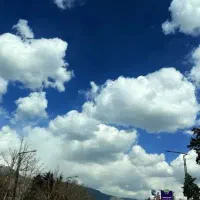 مشارکت در ساخت ۳۰۰متر بر۱۲ رودسر شهرک انصاری