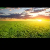 زمین کشاورزی