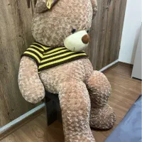 عروسک خرس دومتری