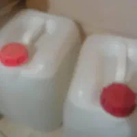 بیدمشک بومی