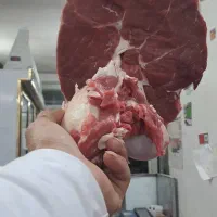 فروش گوشت تازه با کالابرگ