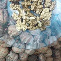 گردو ی درجه یک