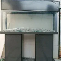 آکواریوم بزرگ