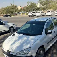 206 تیپ 2 بی رنگ خانگی