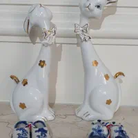 خرگوش چینی جفت
