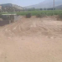 زمین مسکونی دهنو میلاس کوچه شهید عیسی