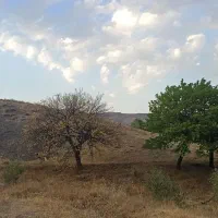 زمین