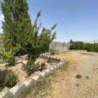 باغچه و باغ 500متر،چهاردیوارقدیمی،وسط باغات|فروش زمین و ملک کلنگی|فردوسیه, |دیوار