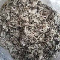 تفاله چغندر|حیوانات مزرعه|اسالم, |دیوار