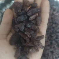 کشمش و مویز|خوردنی و آشامیدنی|باغستان, |دیوار