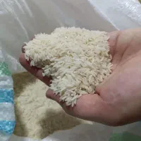 برنج هاشمی درجه یک مال زمین خودمونه