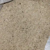 جو خومونی جو بزری