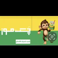 صندوقدار خانم