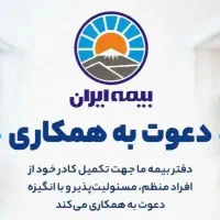 دفتر بیمه