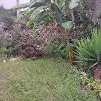 تور گردشگری کاشان