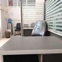 منشی خانم و آقا