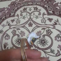 بدلیجات|بدلیجات|کرمانشاه, |دیوار