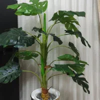 درختچه برگ انجیری مصنوعی