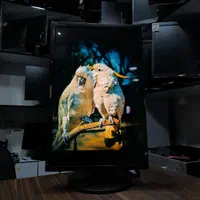 مانیتور 24 اینچ سامسونگ samsung|قطعات و لوازم جانبی رایانه|کرج, گوهردشت|دیوار