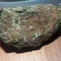 سنگ شجر|کلکسیون اشیاء عتیقه|سنندج, |دیوار