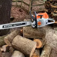 هرس و قطع درخت|خدمات باغبانی و درختکاری|شیراز, شهرک گلستان|دیوار