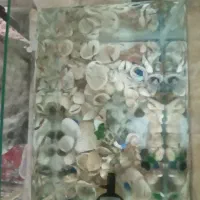 آکواریوم باتمام وسایل به فروش میرسد