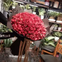 پخش عمده گل رز هلندی|گل و گیاه طبیعی|مشهد, هنرستان|دیوار