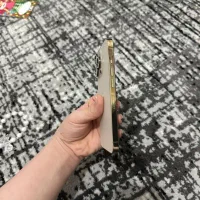 آیفن 13 پرو|موبایل|گلستان (تهران), |دیوار