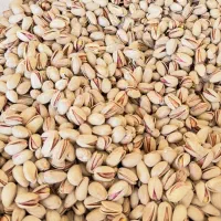 آجیل سرای طبیعت مراغه|خوردنی و آشامیدنی|مراغه, |دیوار