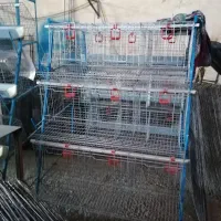 لوازم مرغداری مرغ وطیور