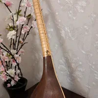 سه تار در حد نو|سازهای سنتی|تهران, پونک|دیوار