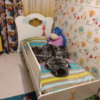 تخت خواب و کمد