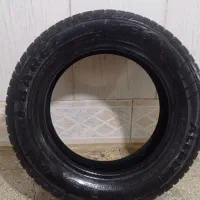 لاستیک ساینا تیبا کوییک