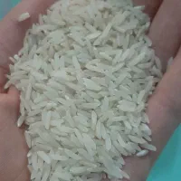 برنج طارم هاشمی عالی