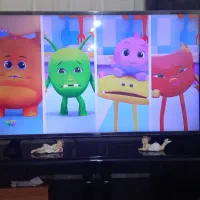 تلویزیون ۵۰اینج.VESTELاسمارت