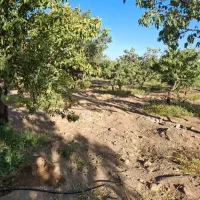 فروش ۲۷۰۰متر باغ زیر قیمت استثنایی|فروش زمین و ملک کلنگی|اصفهان, شاهزاده ابراهیم|دیوار
