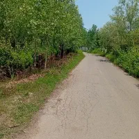 گیلوا-محله-زمین-داخل-بافت