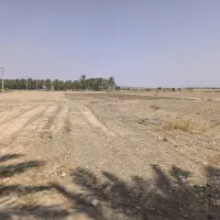 اجاره زمین کشاورزی یک هکتار جیرفت روستا ورامین|اجارهٔ دفتر صنعتی، کشاورزی، تجاری|اسماعیلی, |دیوار