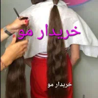 مرکز اصلی مو