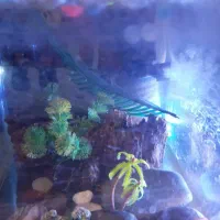 اکواریوم شیشه خم باتجهیزات|ماهی|تهران, جیحون|دیوار