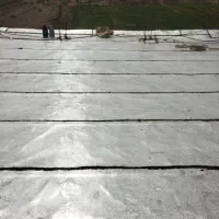 ایزوگام شرق اسیا